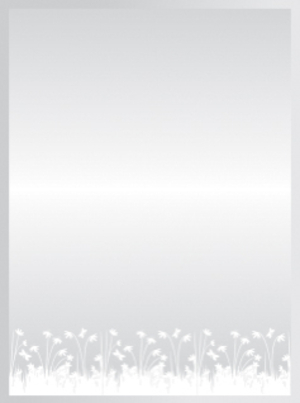 Gương soi RT5V-12 (45x60cm)